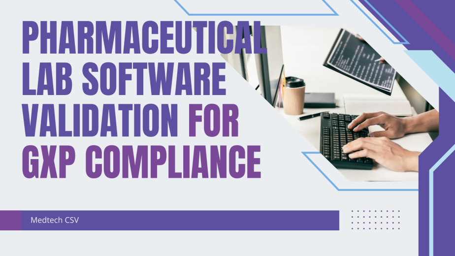 Pharmaceutical Lab Software Validation for GxP Compliance